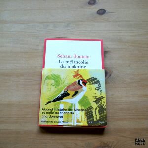"La mélancolie du maknine" - Seham Boutata