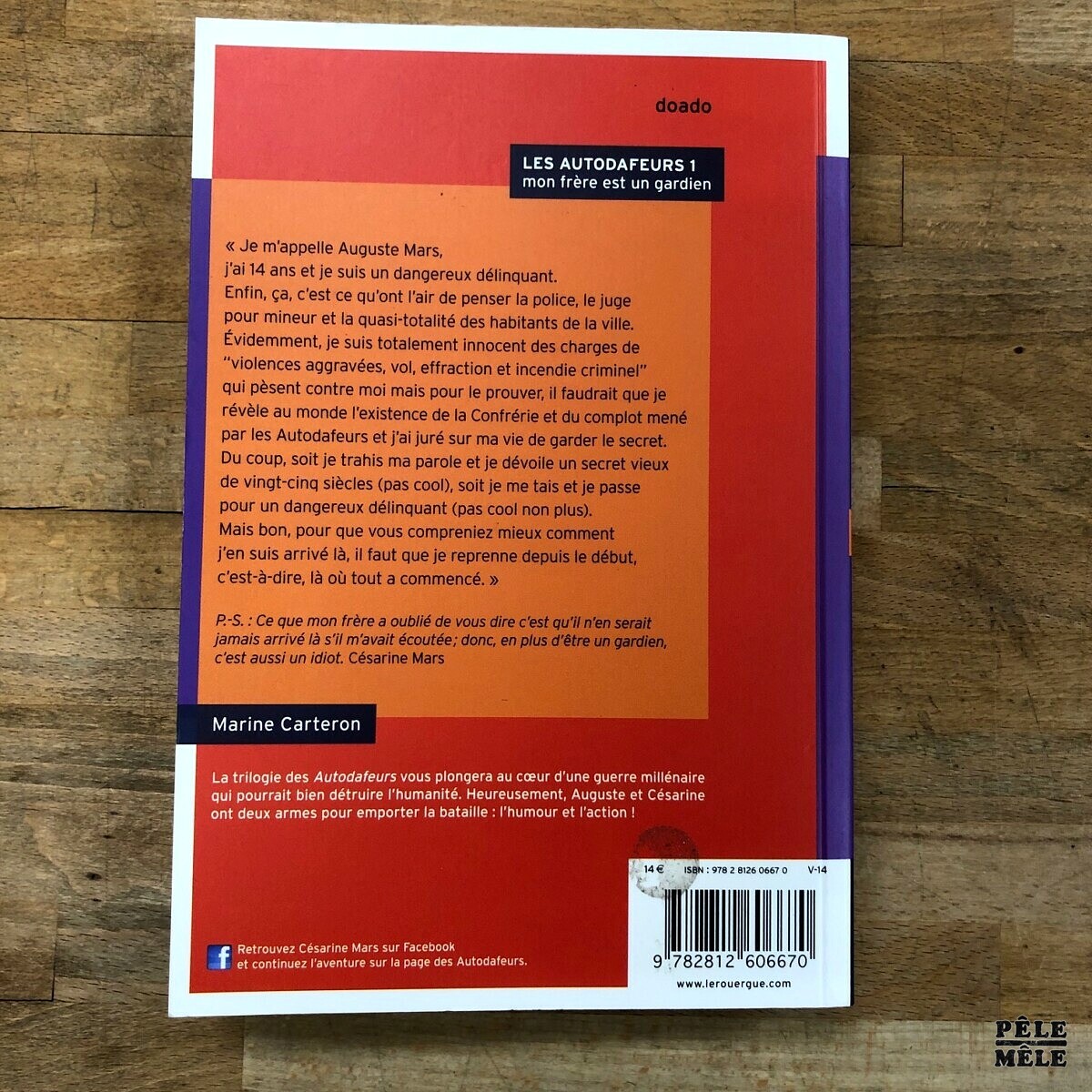 Les autodafeurs - tome 1; Mon frère est un gardien - Marine Carteron – Image 2