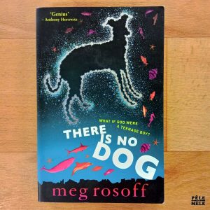 "There is no dog" - Meg Rosoff (Penguin Books)
