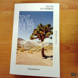 "Tout ce qui n'a pas été dit" - Katie Gutierrez