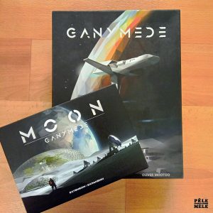 Hope S. Hwang & Oliver Mootoo "Ganymède" + extension "Moon Ganymède" (SORRY WE ARE FRENCH)