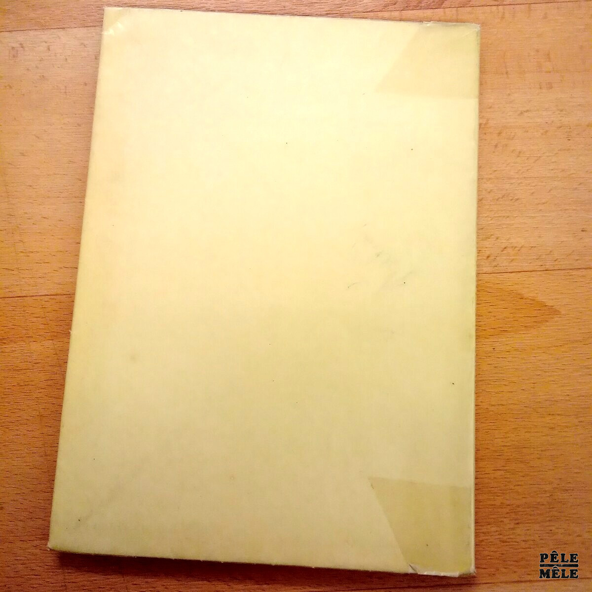 Entretien avec Julien Benda - Frédéric Lefèvre / Le Livre / Emile Chamontin 1925 – Image 2