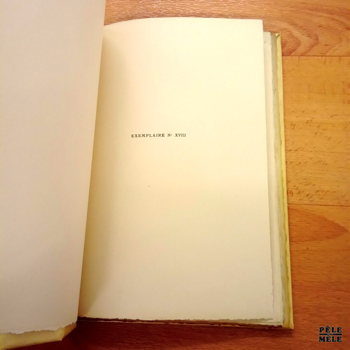 Entretien avec Julien Benda - Frédéric Lefèvre / Le Livre / Emile Chamontin 1925 – Image 4