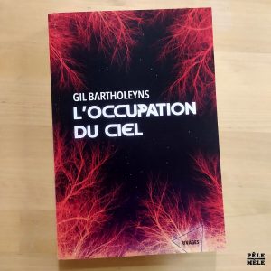 Gil Bartholeyns "L'Occupation du Ciel" (RIVAGES, 2024)