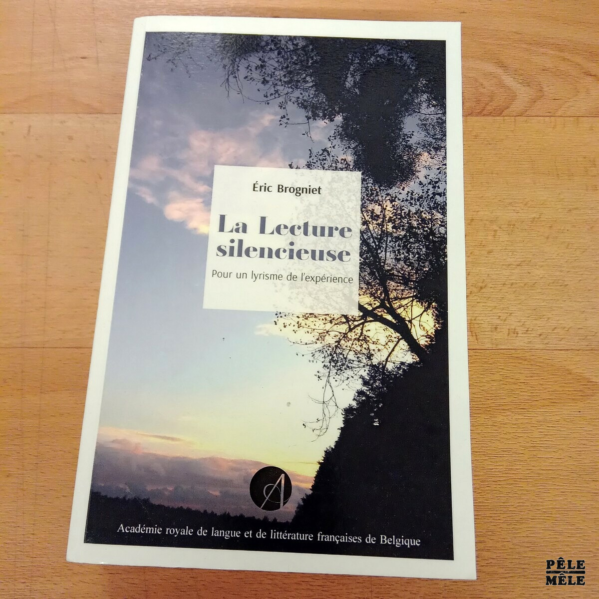 La lecture silencieuse Pour un lyrisme de l'expérience - Eric Brogniet (Académie royale de langue et de littérature françaises de Belgique)