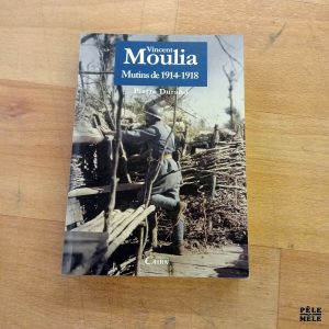 Pierre Durand, Vincent Moulia Mutins de 1914-1918. Editions Cairn, 2008.