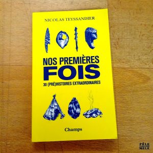 Nos premières fois 30 (pré)histoires extraordinaires - Nicolas Teyssandier (Champs)
