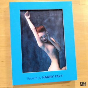 Harry Fayt "Rebirth" (FAYT, 2019)