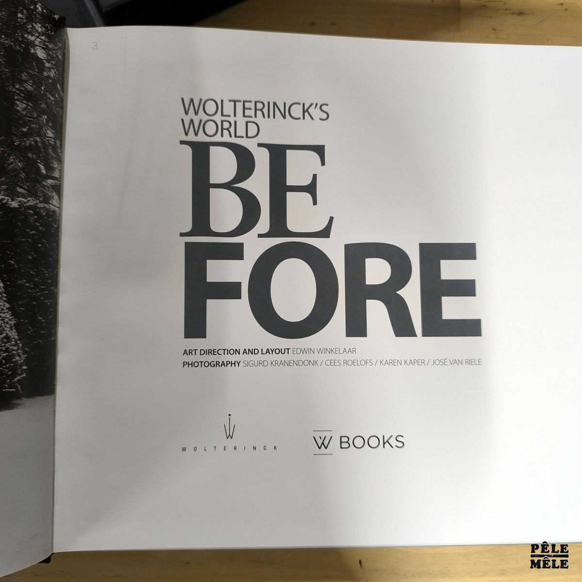 Hans Van de Willige, Merijn De Leur-Van Duyn "Wolterinck's World Before : 25 Years" (WAANDERS, 2011) – Image 3