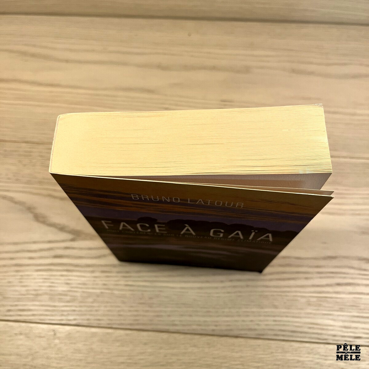 Face à Gaïa - Huit conférences sur le Nouveau Régime Climatique - Bruno Latour – Image 5