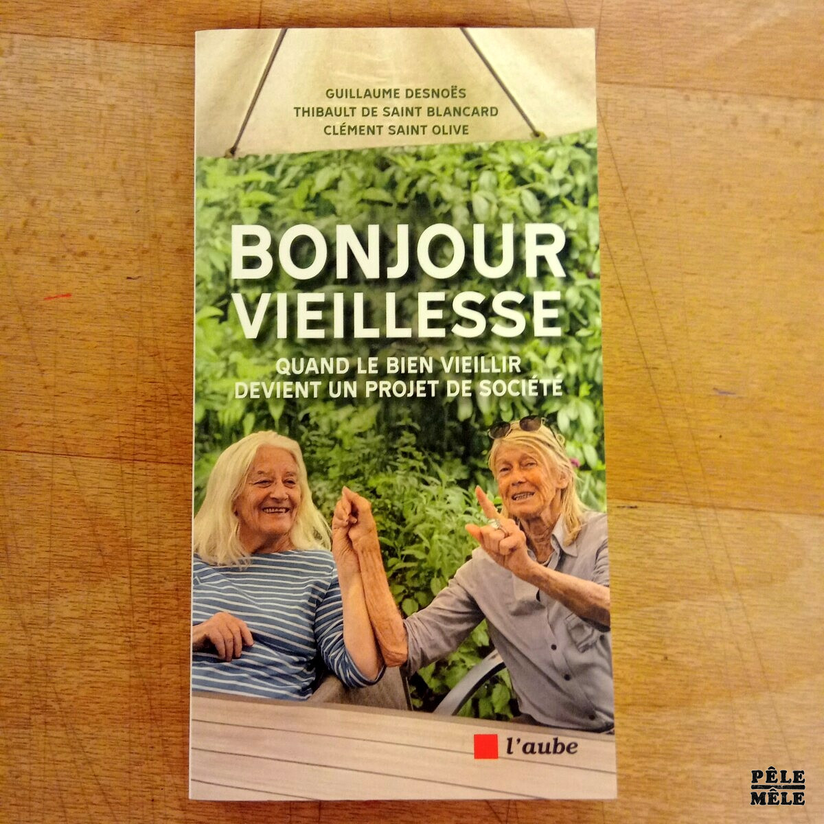 "Bonjour vieillesse" - Guillaum Desnoës, Thibault De Saint Blancard, Clément Saint Olive (L'aube, 04/2025)