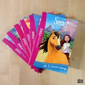 Série 6 volumes "Spirit, tomes 1 à 6" - Christelle Chatel (Hachette)