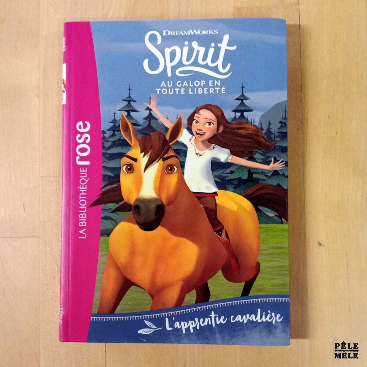 Série 6 volumes "Spirit, tomes 1 à 6" - Christelle Chatel (Hachette) – Image 3