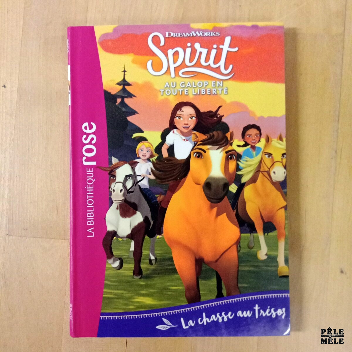 Série 6 volumes "Spirit, tomes 1 à 6" - Christelle Chatel (Hachette) – Image 5