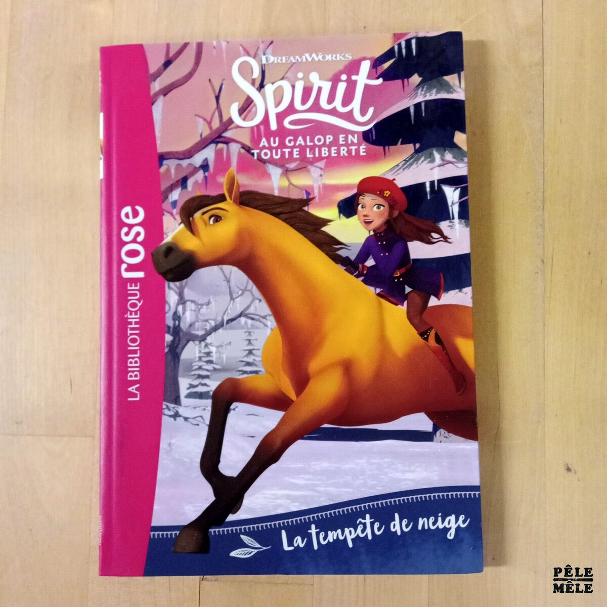 Série 6 volumes "Spirit, tomes 1 à 6" - Christelle Chatel (Hachette) – Image 7
