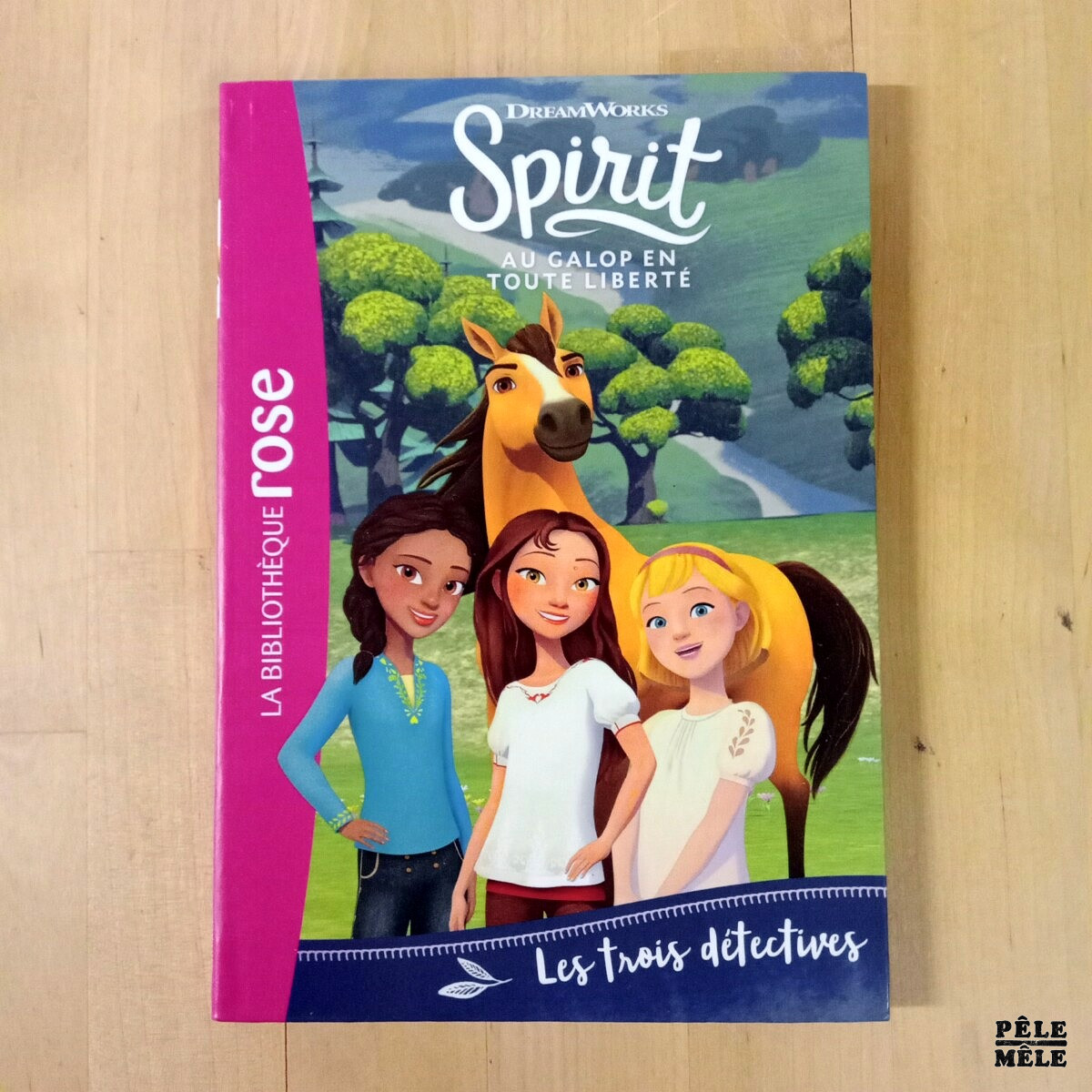 Série 6 volumes "Spirit, tomes 1 à 6" - Christelle Chatel (Hachette) – Image 9