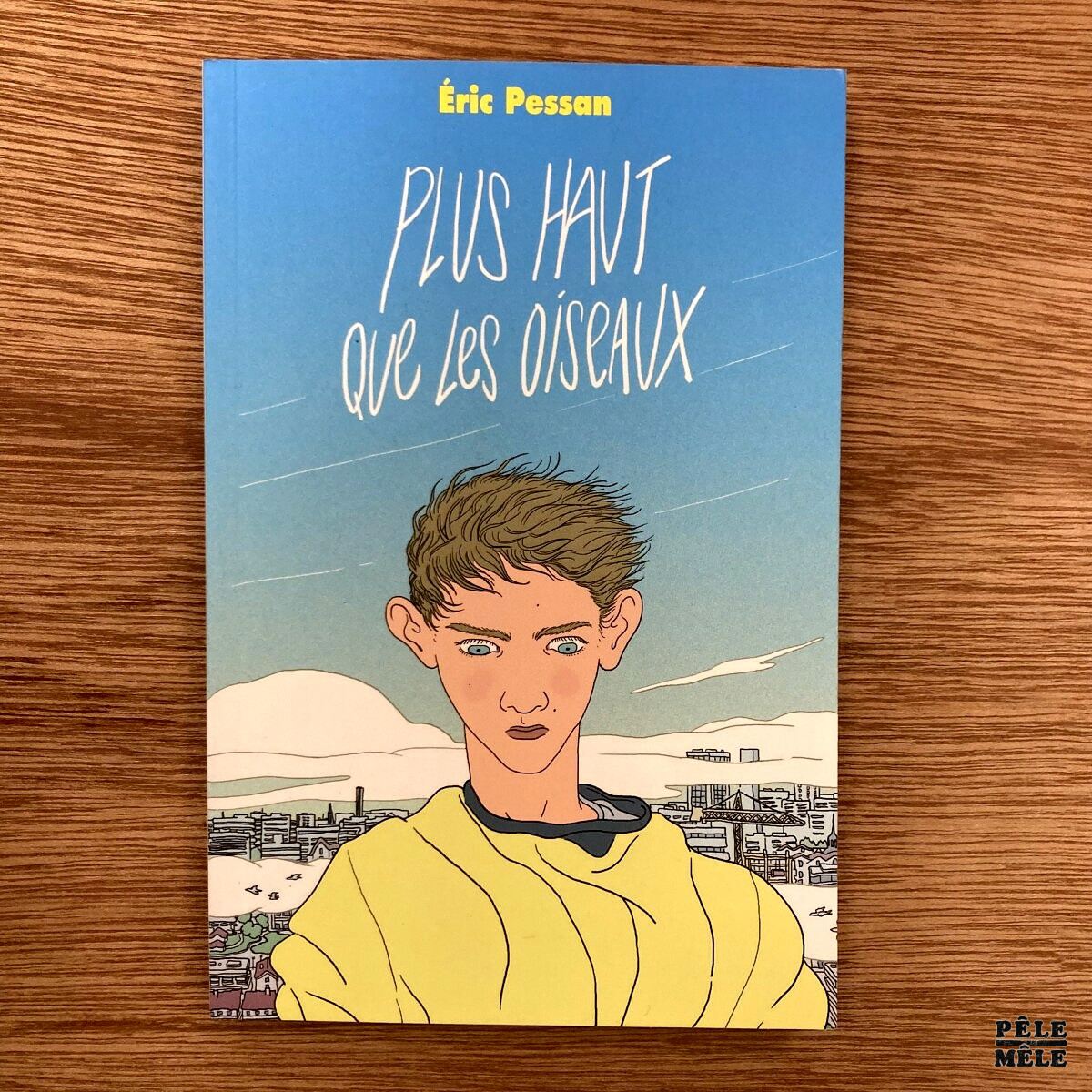 "Plus haut que les oiseaux " de Eric Pessan (Ecole des Loisirs: Médium, 2012) ///! Lot de 10 ouvrages!