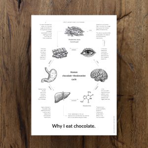 « Why I eat chocolate » poster to download