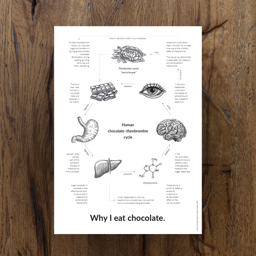 « Why I eat chocolate » poster to download